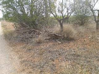 PTDA MAR DE SINTO POLR 22 93 S/N 11