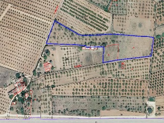 PTDA MAR DE SINTO POLR 22 93 S/N 14