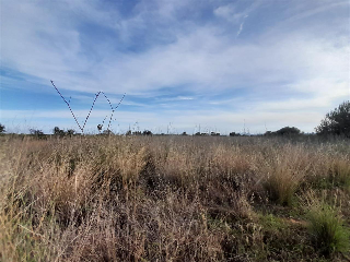 PARAJE BUSTALETS, POLIGONO 4, PARCELA 2