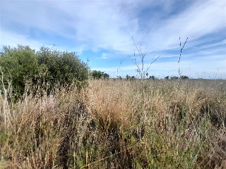 PARAJE BUSTALETS, POLIGONO 4, PARCELA 3
