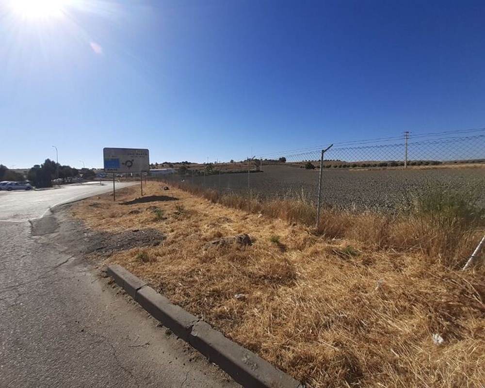 SAN MARTIN DE LA VEGA