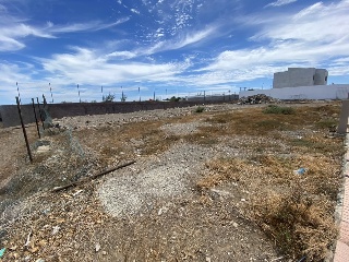 Malvasia 5
