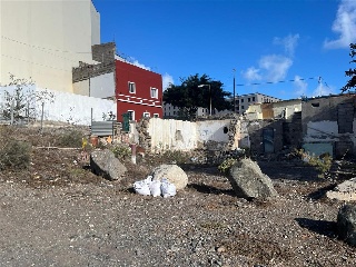 Malvasia 14