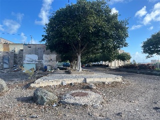 Malvasia 15