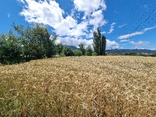 SECTOR LEVANTE SUR I 10