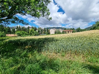 SECTOR LEVANTE SUR I 16