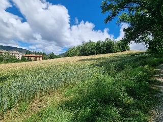 SECTOR LEVANTE SUR I 17