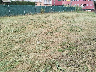 ISABEL VILA 10