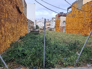 JUAN AGUSTIN PALOMAR 13