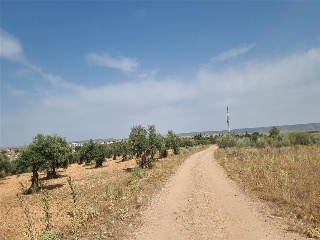 MAR EGEO (SECTOR R-6 'EL CHARCAL', PARCELA 14, MANZANA C-6) 10