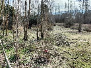 SECTOR 9 LA ESTACION 5