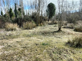 SECTOR 9 LA ESTACION 7