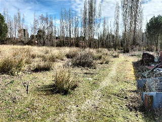 SECTOR 9 LA ESTACION 8