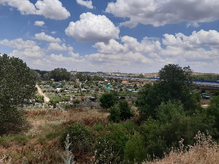 HUERTA DE ABAJO TIERSA Y LONGUERA 3