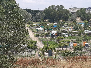HUERTA DE ABAJO TIERSA Y LONGUERA 6