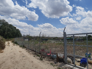 HUERTA DE ABAJO TIERSA Y LONGUERA 7