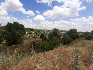 HUERTA DE ABAJO TIERSA Y LONGUERA 9