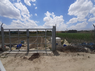 HUERTA DE ABAJO TIERSA Y LONGUERA 10