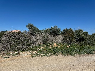 PARTIDA LES CLOTES. Sector 46 Pol. 11 Parcela 2