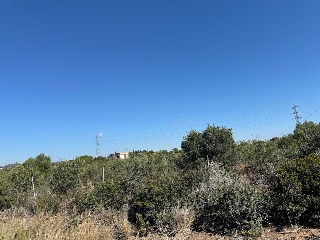 PARTIDA LES CLOTES. Sector 46 Pol. 11 Parcela 3