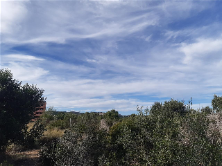 PARTIDA LES CLOTES. Sector 46 Pol. 11 Parcela 5