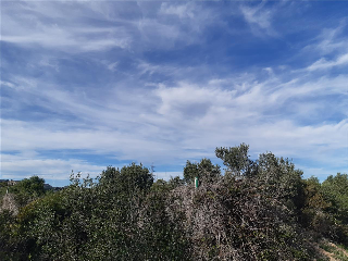 PARTIDA LES CLOTES. Sector 46 Pol. 11 Parcela 6