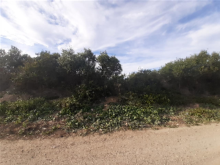 PARTIDA LES CLOTES. Sector 46 Pol. 11 Parcela 9