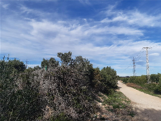 PARTIDA LES CLOTES. Sector 46 Pol. 11 Parcela 10