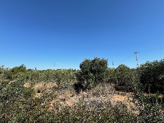 PARTIDA LES CLOTES. Sector 46 Pol. 11 Parcela 11
