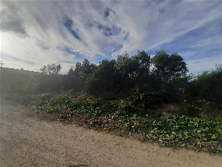 PARTIDA LES CLOTES. Sector 46 Pol. 11 Parcela 12