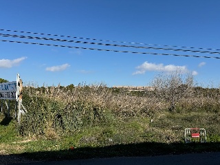 PARTIDA LES CLOTES. Sector 46 Pol. 11 Parcela 15