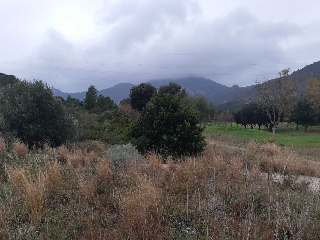 Plan Parcial Bonmont Terres Noves con frente al vial A 5