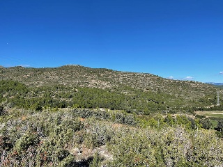 Plan Parcial Bonmont Terres Noves con frente al vial A 10