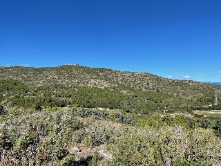 Plan Parcial Bonmont Terres Noves con frente al vial A 12