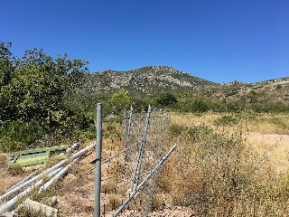 Plan Parcial Bonmont Terres Noves con frente al vial A 15