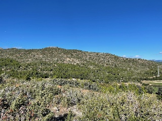 Plan Parcial Bonmont Terres Noves con frente al vial A 17