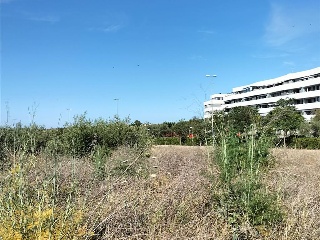 Carretera de Palomares 2
