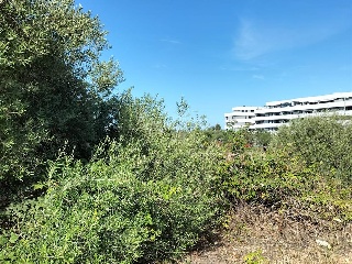 Carretera de Palomares 4