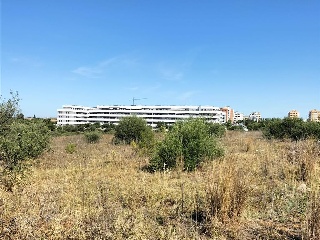 Carretera de Palomares 5