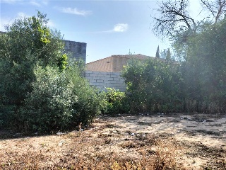 Carretera de Palomares 11