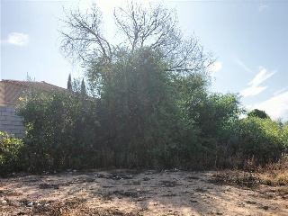 Carretera de Palomares 12