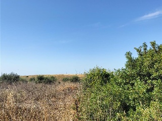 Carretera de Palomares 16