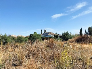Carretera de Palomares 21