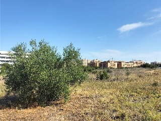 Carretera de Palomares 24