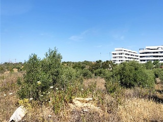 Carretera de Palomares 25