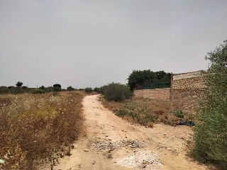 Carretera de Palomares 26