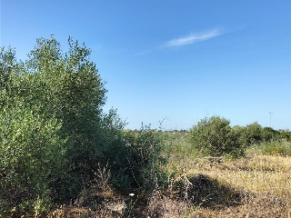 Carretera de Palomares 27