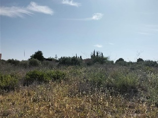 Carretera de Palomares 28