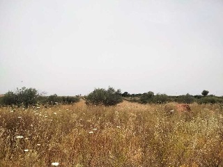 Carretera de Palomares 31