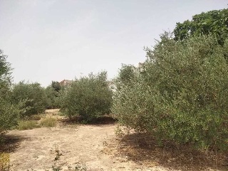 Carretera de Palomares 33